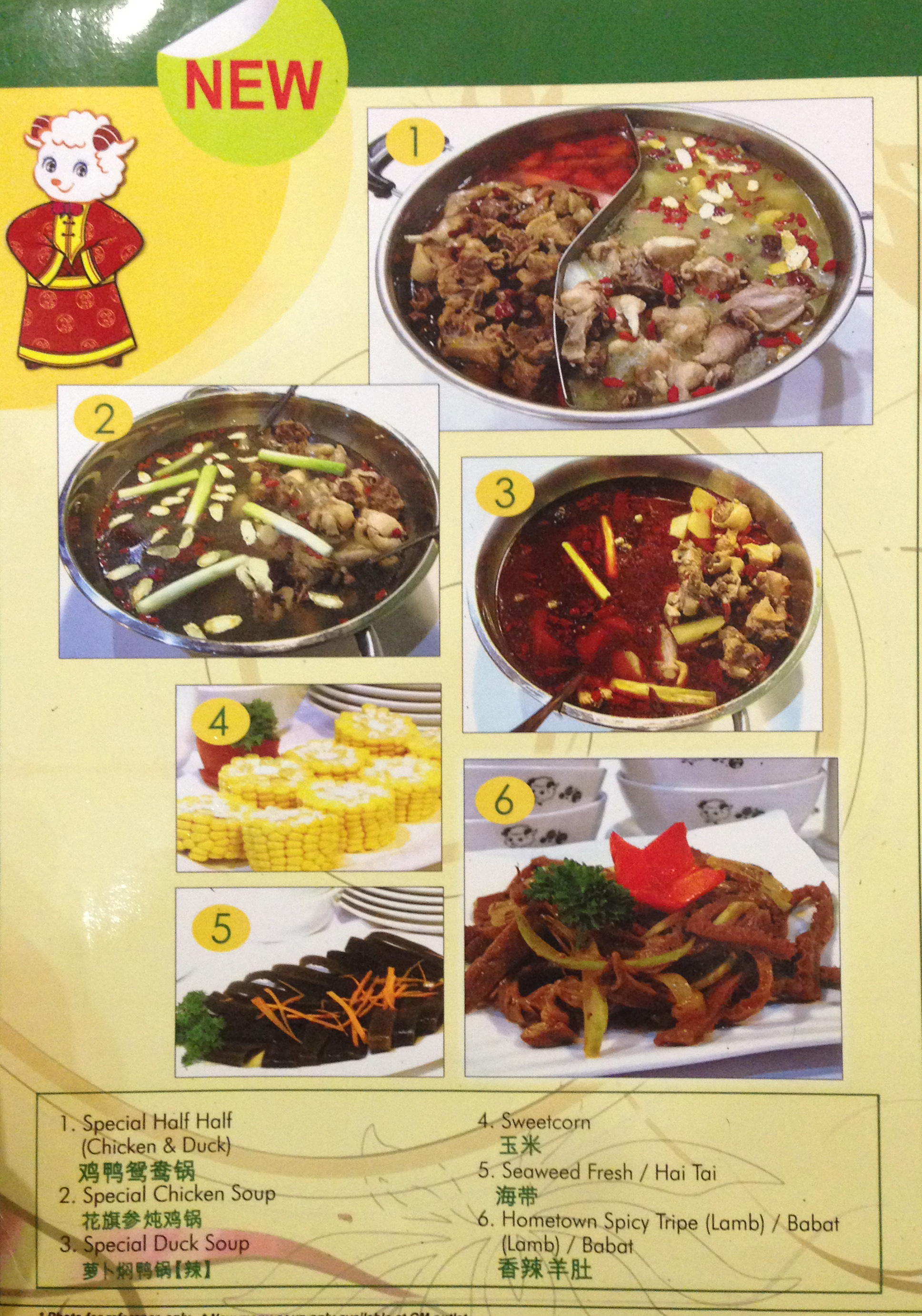 Little Sheep Gajah Mada